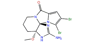 Dibromoagelaspongin methyl ether